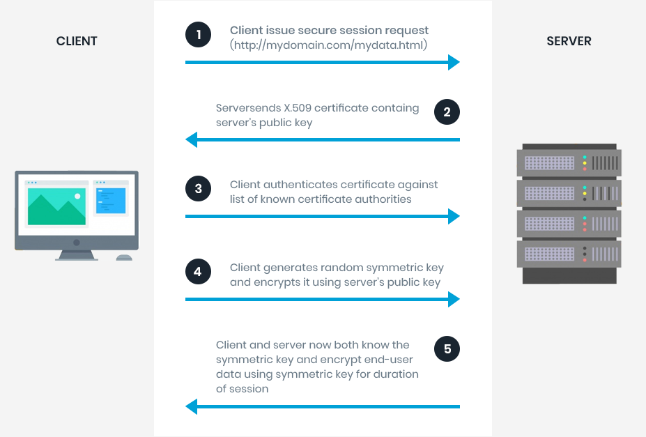 SSL/TLS